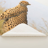 Couverture Sherpa Cat lover cheetah photo (3/4)