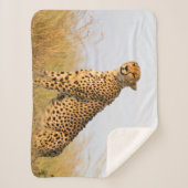Couverture Sherpa Cat lover cheetah photo (Devant)