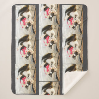 Couverture Sherpa Cat Multiple Photo , Customize, 