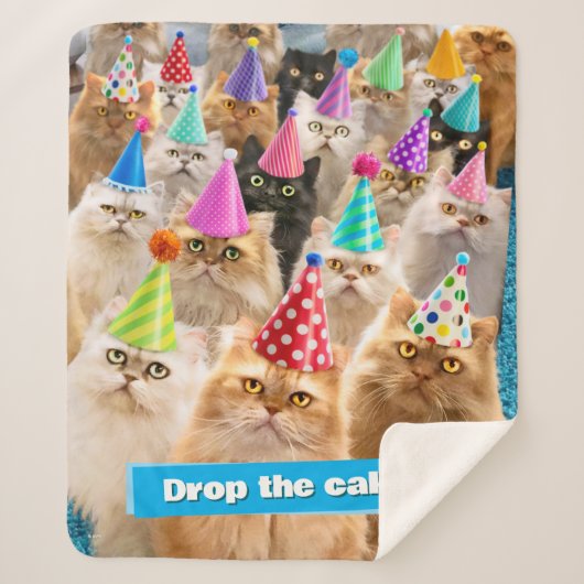 Couverture Sherpa Cat Party (Devant)