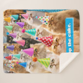 Couverture Sherpa Cat Party (Devant (Horizontal))