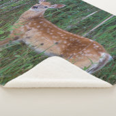 Couverture Sherpa Cerf à queue blanche | National Bison Range Montan (3/4)