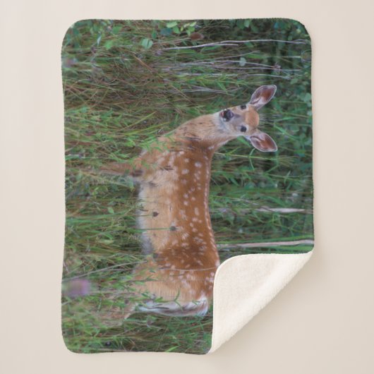 Couverture Sherpa Cerf à queue blanche | National Bison Range Montan (Devant)