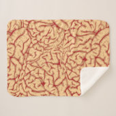 Couverture Sherpa Cerveaux déplaisants Halloween en abondance drôle (Devant (Horizontal))