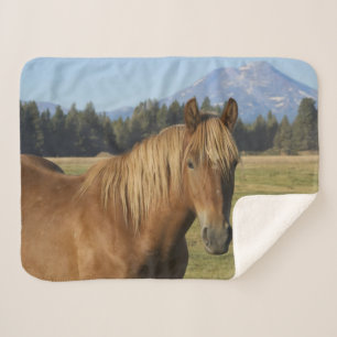 Couverture Sherpa Chaîne des Cascades Cheval châtaigne