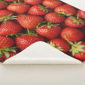 Couverture Sherpa Champ de Fraises Frais de la Ferme (3/4)
