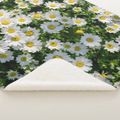 Couverture Sherpa Champ de marguerite du printemps : Arrière - plan (3/4)