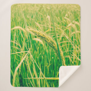 Couverture Sherpa Champ de riz en milieu rural et frais, vintage sty
