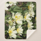Couverture Sherpa Champ de tulipes blanches (Devant)