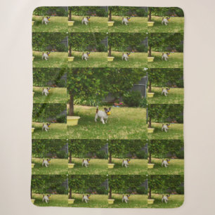 Couverture Sherpa Charlie The Fox Terrier Temps De Jeu, Sherpa Blank