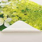 Couverture Sherpa Chartreuse Vert, Limelight Hydrangea, (3/4)