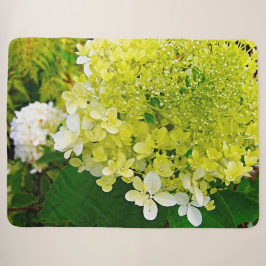 Couverture Sherpa Chartreuse Vert, Limelight Hydrangea, (Devant (Horizontal))