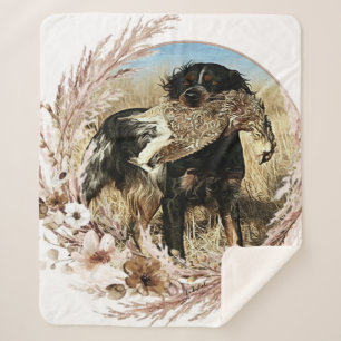 Couverture Sherpa Chasse à la bécasse avec l'Épagneul Breton  