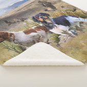 Couverture Sherpa Chasse à la caille avec un Espagnol breton, Art (3/4)