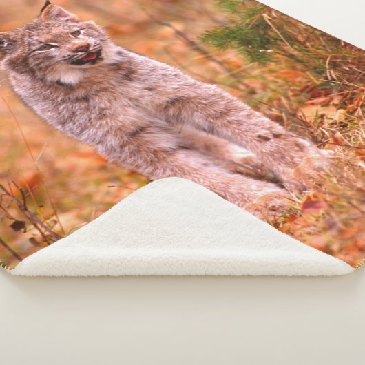 Couverture Sherpa Chasse Bobcat | Forêt d'automne (3/4)