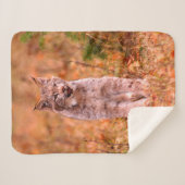 Couverture Sherpa Chasse Bobcat | Forêt d'automne (Devant (Horizontal))