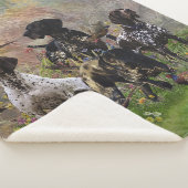 Couverture Sherpa Chasse faisan avec GSP (3/4)