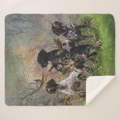 Couverture Sherpa Chasse faisan avec GSP (Devant (Horizontal))