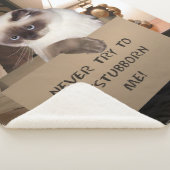 Couverture Sherpa Chat dans la boîte (3/4)