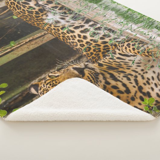 Couverture Sherpa Chat de léopard animal (50" X 60") (3/4)