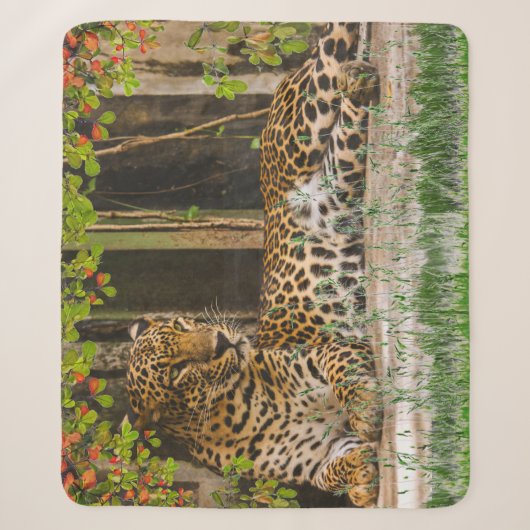 Couverture Sherpa Chat Léopard Animal (127 cm X 152 cm) (Devant)