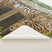 Couverture Sherpa Chat Léopard Animal (127 cm X 152 cm) (3/4)