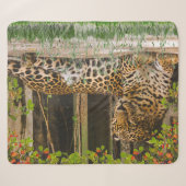 Couverture Sherpa Chat Léopard Animal (127 cm X 152 cm) (Devant (Horizontal))