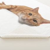 Couverture Sherpa Chat Orange Posé En Bas (3/4)