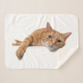 Couverture Sherpa Chat Orange Posé En Bas (Devant (Horizontal))