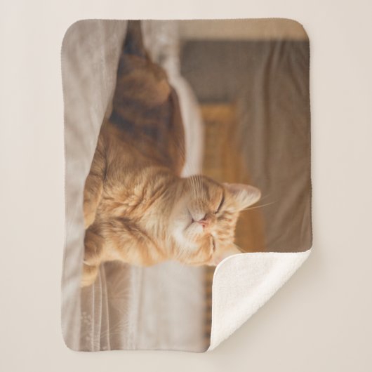 Couverture Sherpa Chat somnolent des images | de Getty (Devant)
