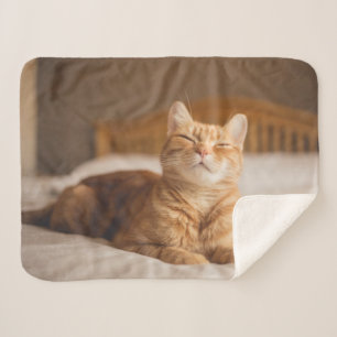 Couverture Sherpa Chat somnolent des images de Getty