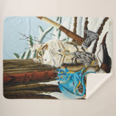 Couverture Sherpa Chat viking et dragon bleu (Devant (Horizontal))