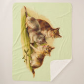 Couverture Sherpa chatons victoriens (Devant)