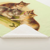 Couverture Sherpa chatons victoriens (3/4)