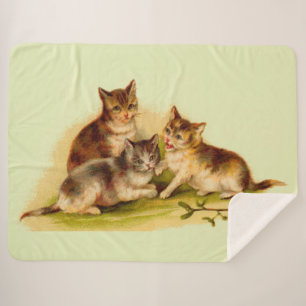 Couverture Sherpa Chatons victoriens