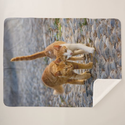 Couverture Sherpa Chats mignons Chatons Chatons Amis Chemin Pierre P (Devant (Horizontal))