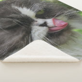 Couverture Sherpa chats, Sherpa Blanches, artisanat, vacances, éléga (3/4)