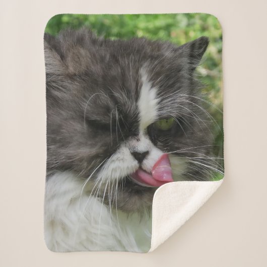 Couverture Sherpa chats, Sherpa Blanches, artisanat, vacances, éléga (Devant)