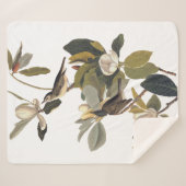 Couverture Sherpa Chauffe-volcans rougeoyer Kingbirds Vintage Audubo (Devant (Horizontal))