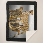 Couverture Sherpa Cheetahs (Devant)