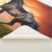 Couverture Sherpa Cheval (3/4)