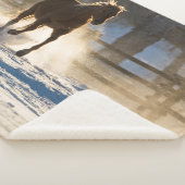 Couverture Sherpa Cheval à travers la neige (3/4)
