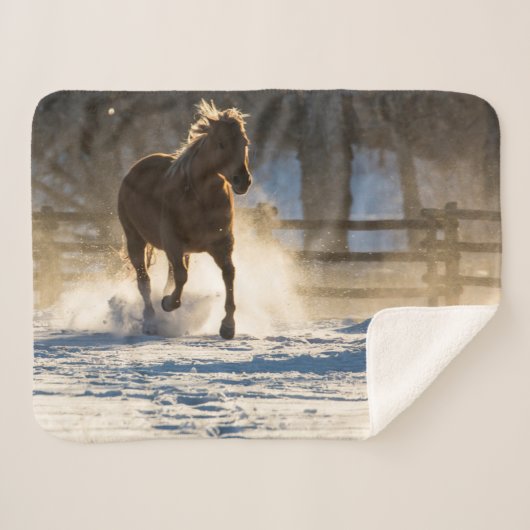 Couverture Sherpa Cheval à travers la neige (Devant (Horizontal))