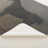 Couverture Sherpa Cheval de la baie de Gelding (par Albrecht Adam) (3/4)