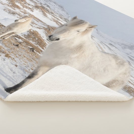 Couverture Sherpa Cheval islandais | Blonduos, Islande (3/4)