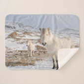 Couverture Sherpa Cheval islandais | Blonduos, Islande (Devant (Horizontal))