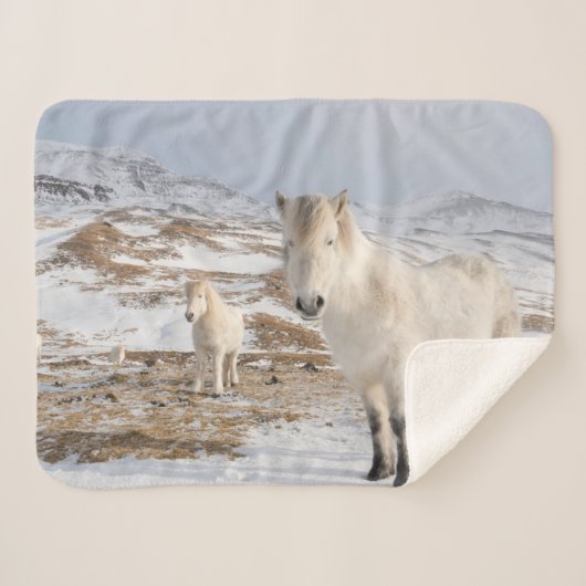 Couverture Sherpa Cheval islandais | Blonduos, Islande (Devant (Horizontal))
