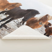 Couverture Sherpa Cheval islandais en hiver Islande (3/4)