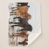 Couverture Sherpa Cheval islandais en hiver Islande (Devant)