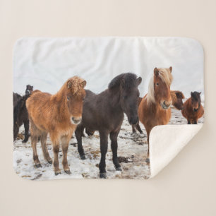 Couverture Sherpa Cheval Islandais en Hiver Islande